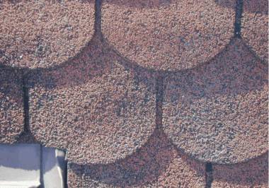 Detailn� foto ��sti �indele se znateln� nedostate�n�m posypem (tmav� m�sta).